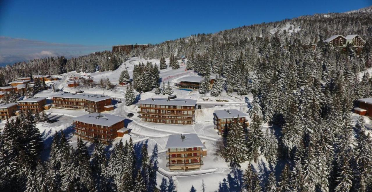 Le Cocon 4 Saisons A Chamrousse 1700 - Droseras A14 - Les Villages Du Bachat Экстерьер фото
